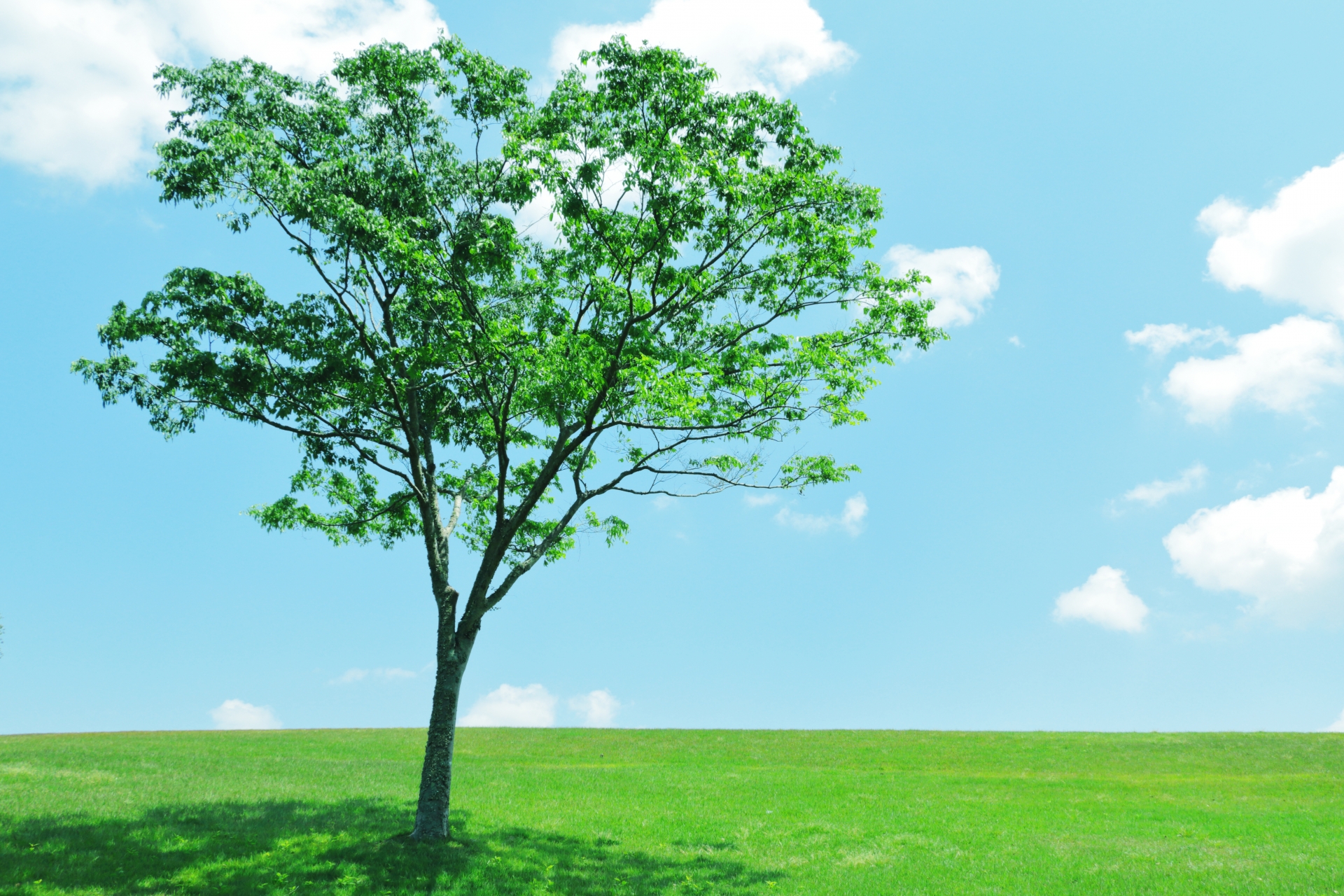 WB工法（通気断熱工法）